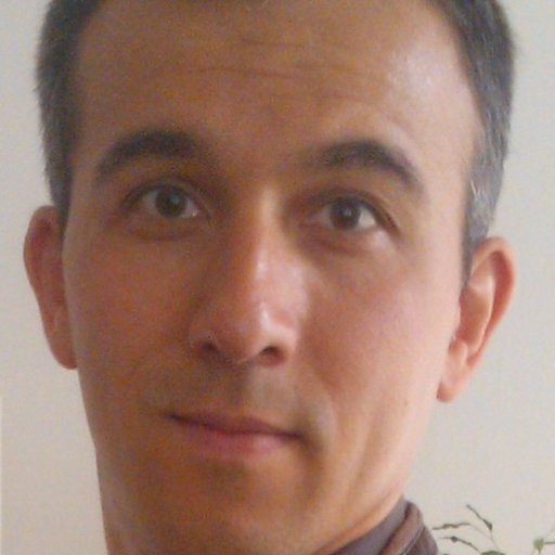 Professeur des écoles,
Formateur à l'ESPE de Poitiers