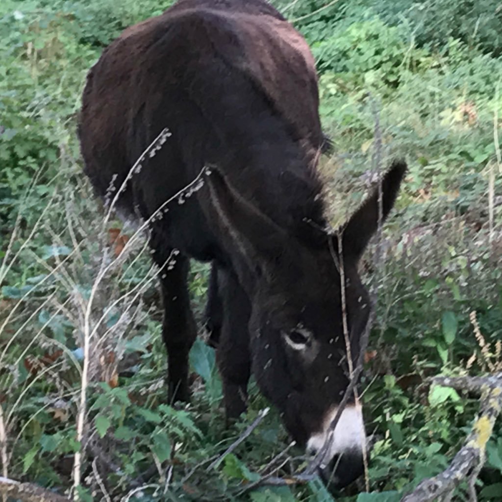 elokko's profile picture. Bin geboren und gewachsen, bin den Bildungsmarathon gelaufen um Ingenieur zu werden, und habe gute Arbeit gefunden, und auch Glück.