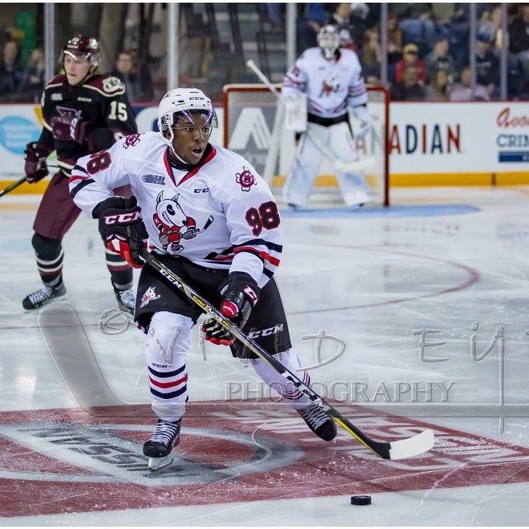 OHL Niagara Icedogs|Strive for Greatness|Philippians 4:13|God, Family, Hockey|