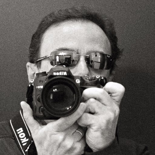 ziosebzioseb's profile picture. 