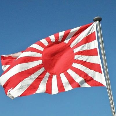 たまには真面目に仕事やってますよ。自衛隊好きですね。