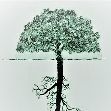Taproot is a place of hope. Let's grow and learn, as we dig our roots deeper into the soil, always pulling from that taproot that's in J.Christ. #thatgoodwater