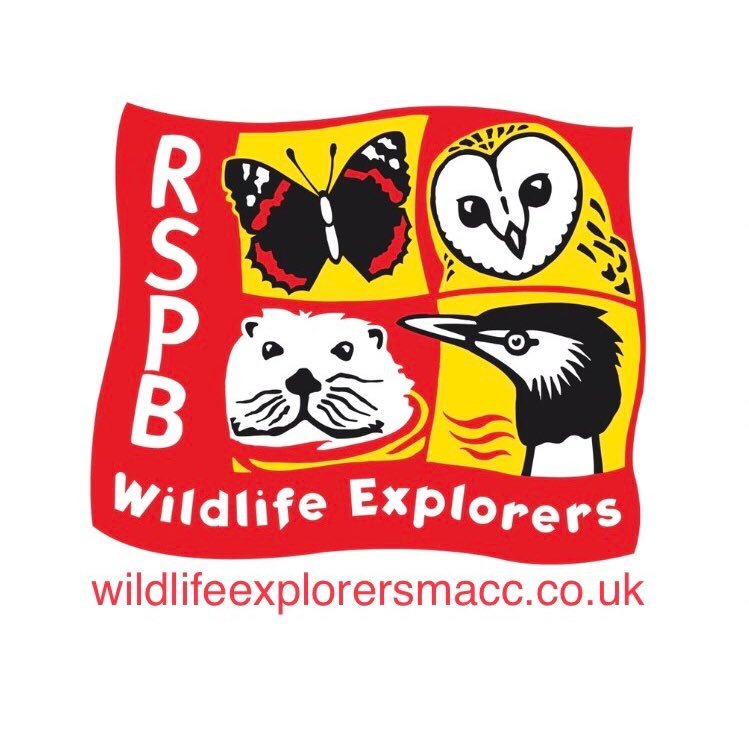 Macclesfield RSPB Wildlife Explorers and RSPB Phoenix Groups. We run fun, hands-on nature activities for 6-19 year olds!