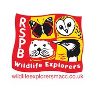 Macclesfield RSPB Wildlife Explorers (@maccwildlife) 's Twitter Profile
