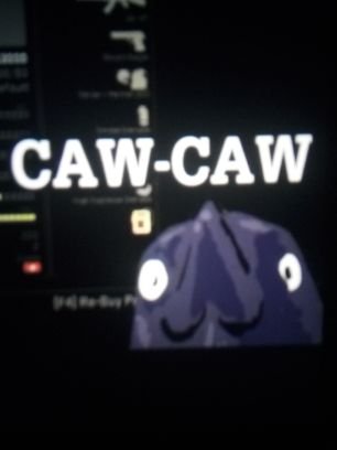 CorvoAttno's profile picture. follow meme account @attnocorvo