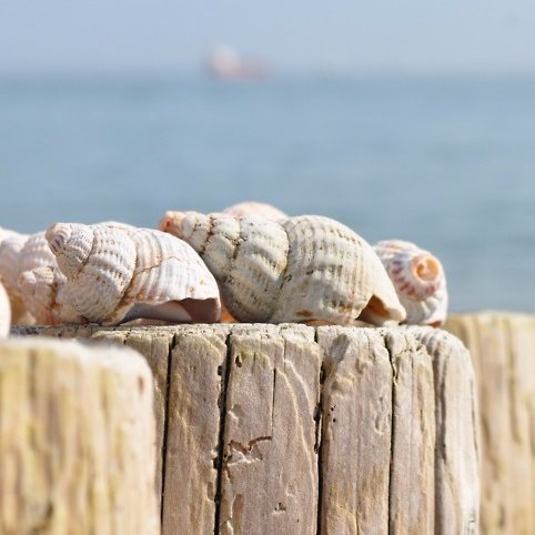 lilivida36's profile picture. 