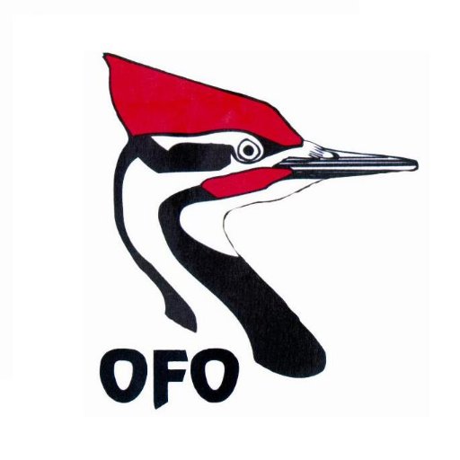 OFO birds Profile