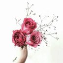 nramxra_2398 - @MyraHudson2310 - Twitter