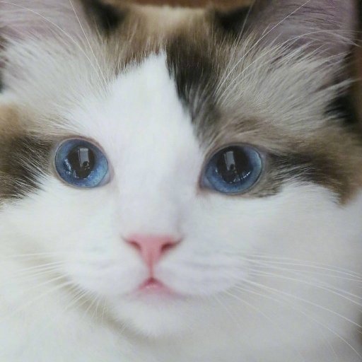 freedomofcrysta's profile picture. for nice body and soul