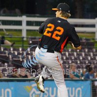 MLB Prospects (@milb_scouting) 's Twitter Profile
