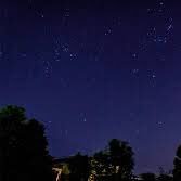 BMedshop's profile picture. 