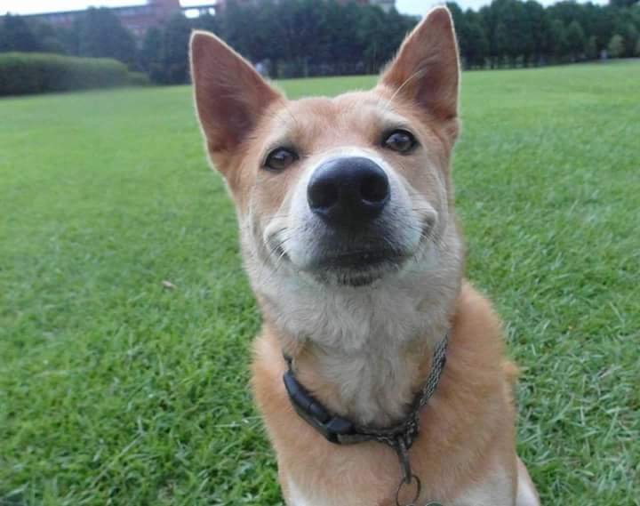 shineon97sheeps's profile picture. 🟨🟨🟨🟨 🟨🟨🟨🟨
practice saying out loud