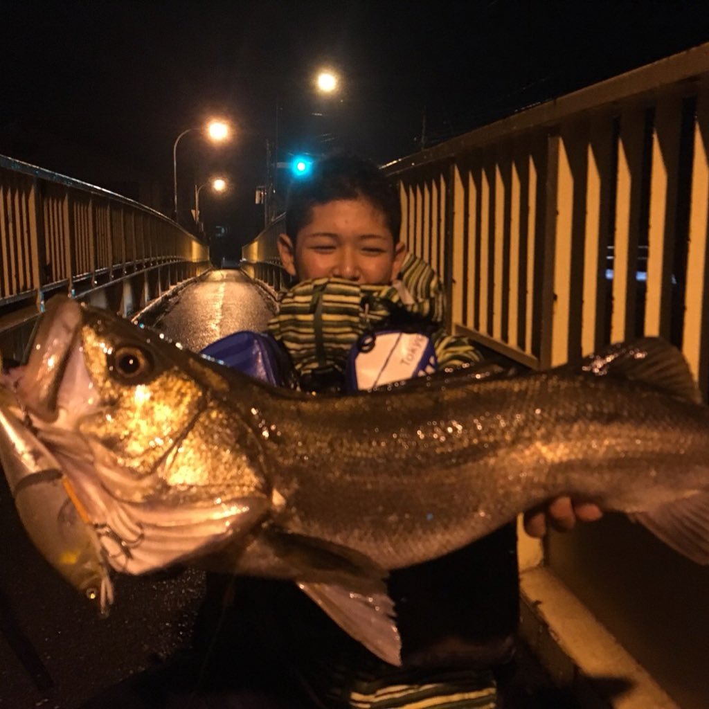 SeeBass_TaRo's profile picture. 千葉県房総半島ホームにシーバス、ヒラスズキ、青物狙ってます 釣り具屋さんで毎日ルアーいじってます