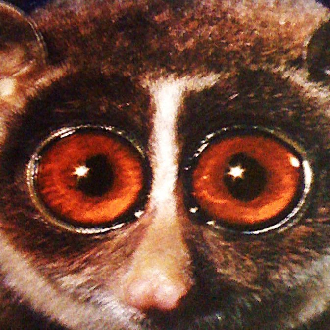 nassep's profile picture. 