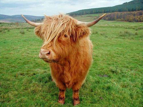 birupac's profile picture. biker, tech addictet, book eater, ping pong star