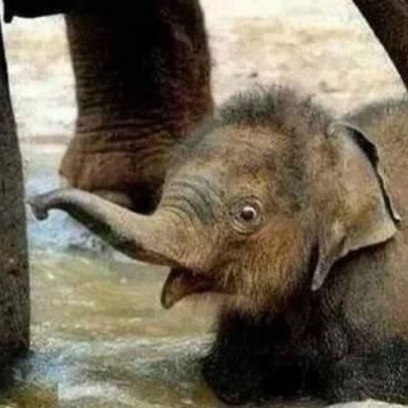 jer3mysp0ken's profile picture. Suspected of things.