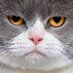 Hugee (@hugeeeeeeeeeee) Twitter profile photo Hugee (@hugeeeeeeeeeee) Twitter profile photo