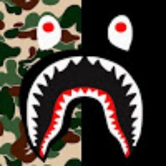 ReactiveDragon's profile picture. I eat wood.