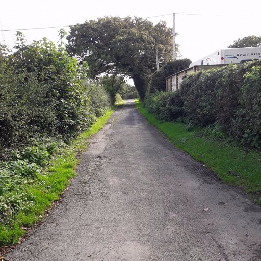 Well used, much loved, rural lane with unspoiled views in Cabus, Lancashire, under threat from planning.