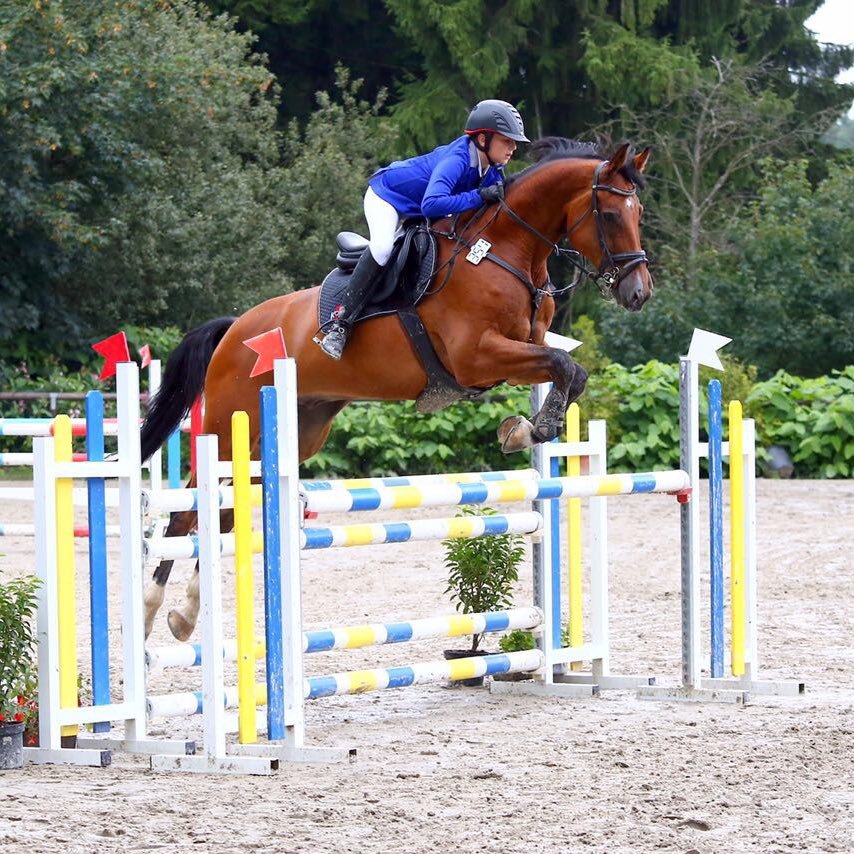 showjumper 14 years old team work makes the dream work 🐴