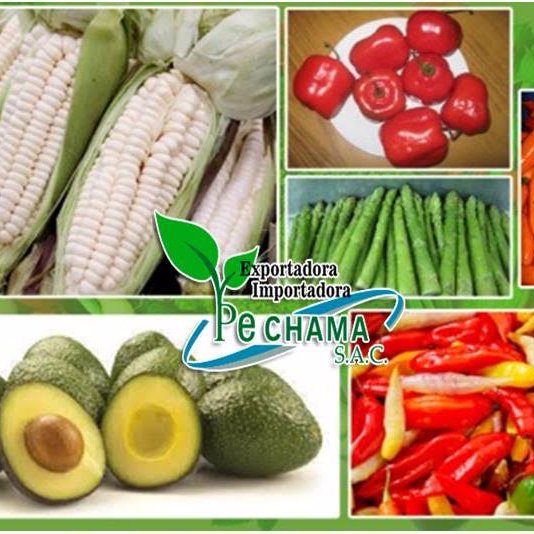 Exportácion de frutas y verduras fresco y congelado y vegetables fruits frozen  WhatsApp+51 928346946
 gerencia@pechamasa.com ;pechamasac@gmail.com