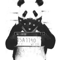 The Panda Bare(@vbadpanda) 's Twitter Profile Photo