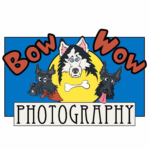 Bow Wow Photography (All images are my work)さんのプロフィール画像