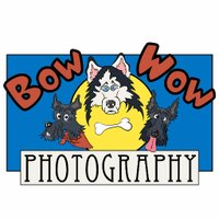 Bow Wow Photography (All images are my work)(@RayStill1) 's Twitter Profileg