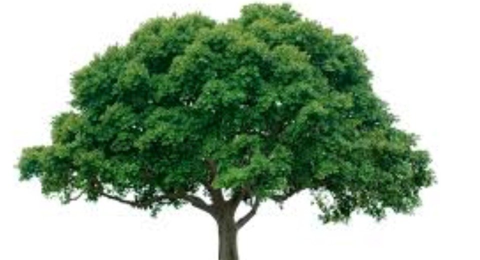 Abbasi01Ahmed's profile picture. 