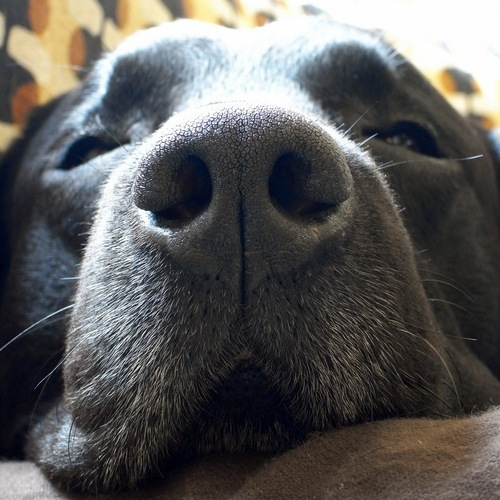 we_are_shake's profile picture. 　☆Individual Hair cut  shake!☆　