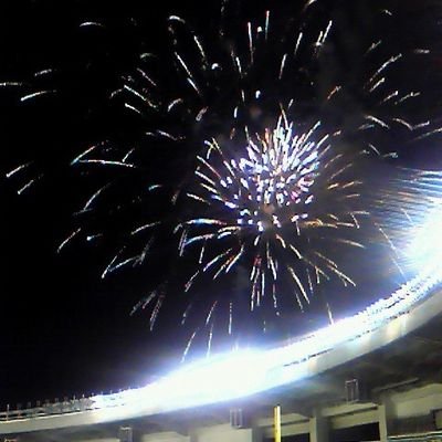 89690806's profile picture. アナタノ… #passcode #pizzaofdeath #fatwreck #ライブ仲間欲しいです(^^)