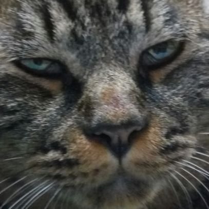 kinomen02's profile picture. NO merry NO life。ゴールデンボンバー、MSSPぼちぼちライブいってます。ゲーム実況好きです。にしむらゆうじ好きです。❤RTうるさいかもしれないけど、精神はしっかりしてます。気軽にフォローしてちょ。人生はテキレバティ!!