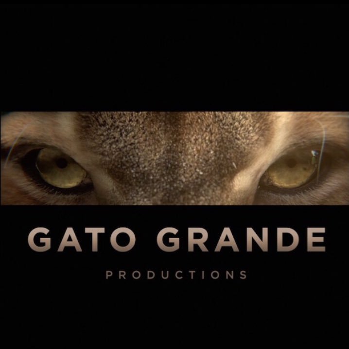 Gato Grande supports and develops Latin American creativity to generate high quality content for mainstream markets.