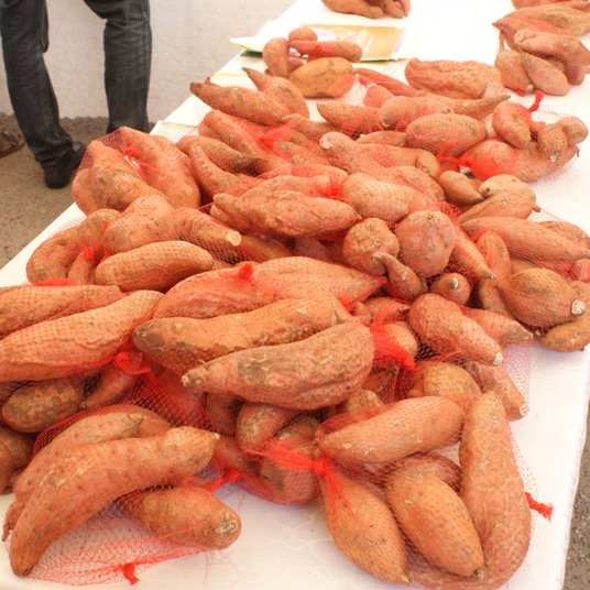 Ghofsp's profile picture. 