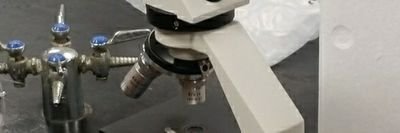@ChelmsfordSci