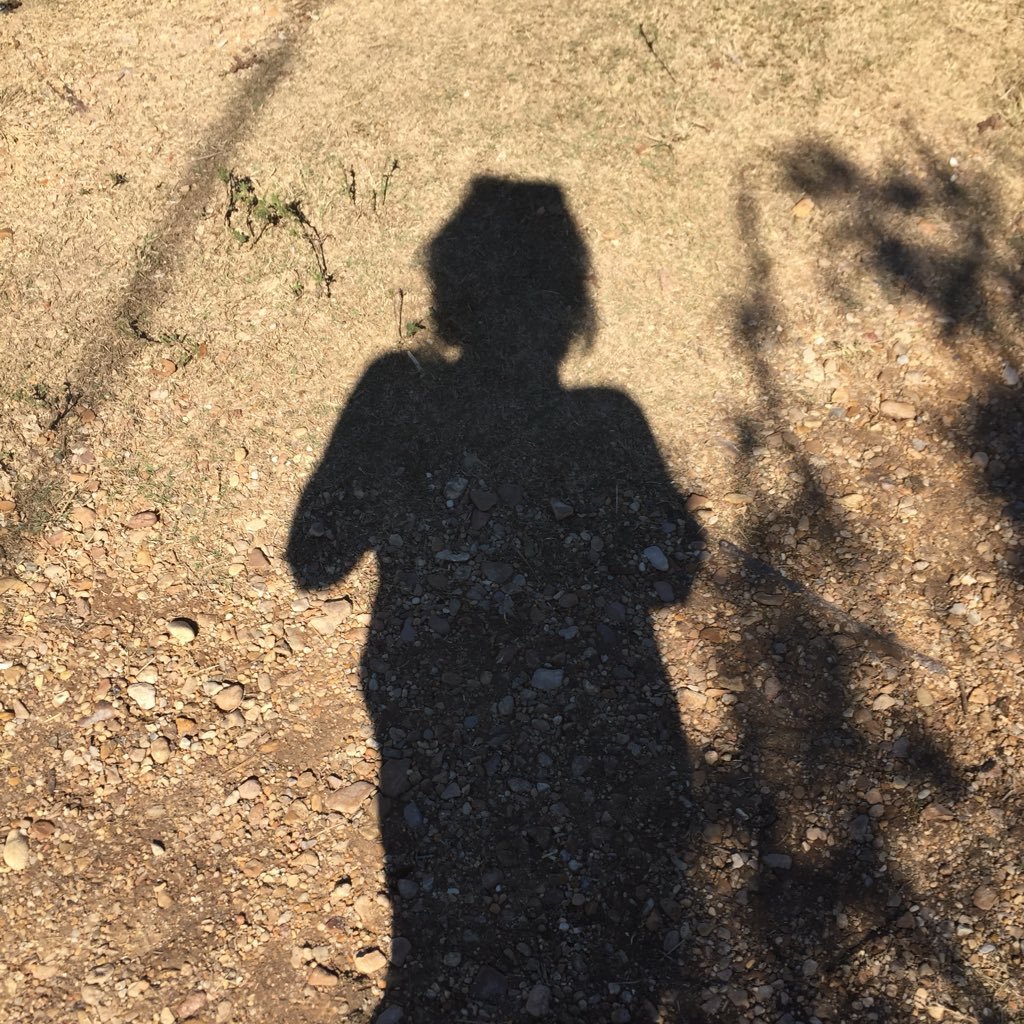 milkladyj's profile picture. Things to remember, places to go