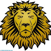 I.S.145lions(@IS_145Q) 's Twitter Profile Photo