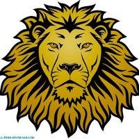 I.S.145lions (@is_145q) 's Twitter Profile