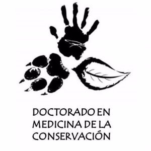 Doctorado #MedicinadelaConservación / PhD #ConservationMedicine @uandresbello 🇪🇸 Folleto 2024 https://t.co/H26HPDMoLP 🇬🇧 Brochure 2024 https://t.co/LnRVk8XggM