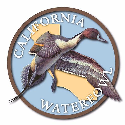 We envision a California where wetlands teem with wildlife, waterfowl thrill us with breathtaking abundance and hunters are a respected force for conservation.