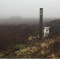 Geevagh.ie (@geevaghhighwood) 's Twitter Profile