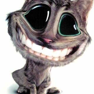 hansa123's profile picture. 