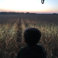Andy Jenks (@aj_jff) 's Twitter Profile