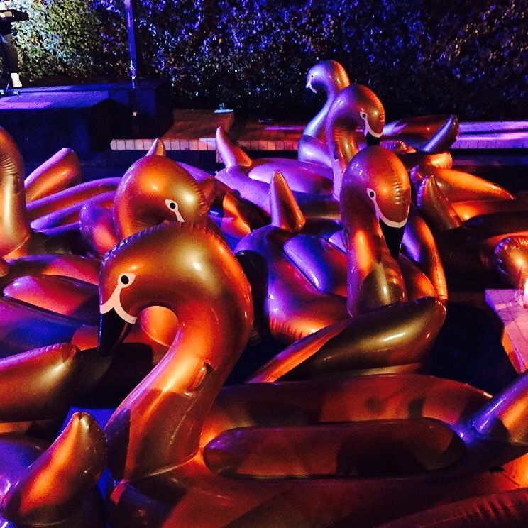 ovoxo919's profile picture. 