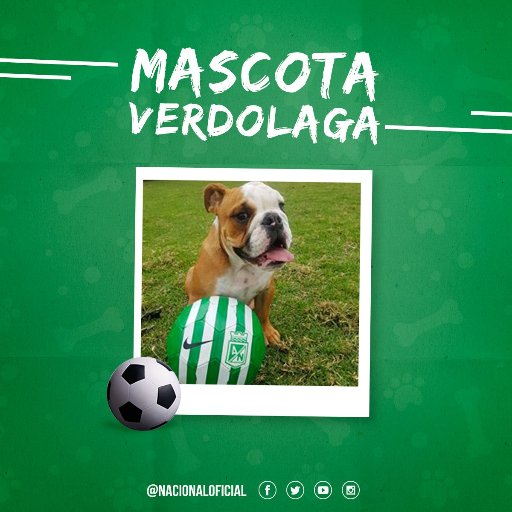 leidyjhoanamar5's profile picture. 