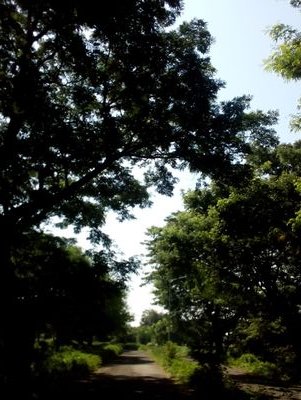 NITINSUPEKAR8's profile picture. 