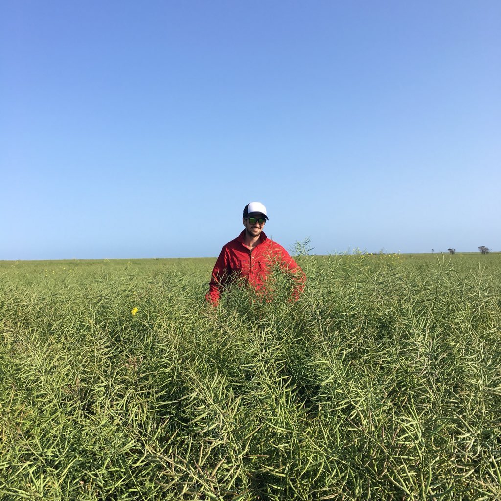 Warakirri Cropping. Passionate about broad acre farming systems.Views are my own.