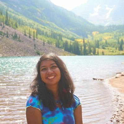 priyankasilmi's profile picture. PhD, MPH