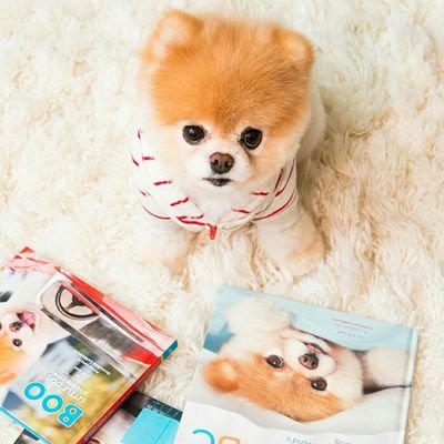 fang_carol28's profile picture. Keep spirit, never give up ^-^