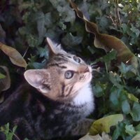 𝒊𝒏 @ (@veldmuis0) 's Twitter Profile